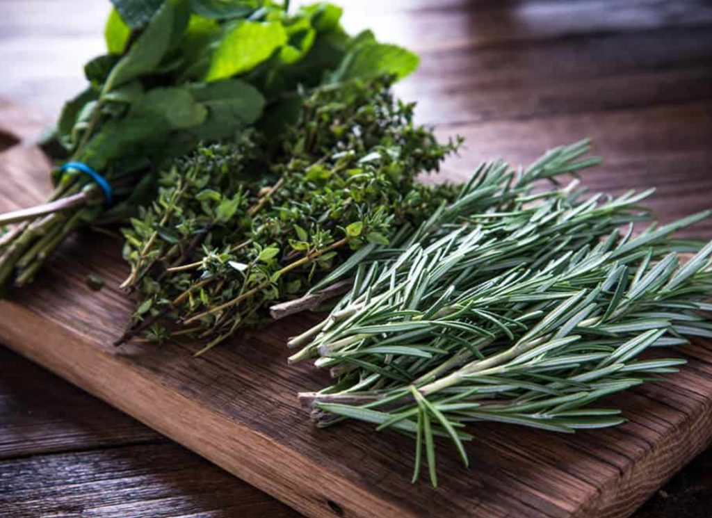 Top 4 Tips That Prevents Fresh Herbs From Wilting