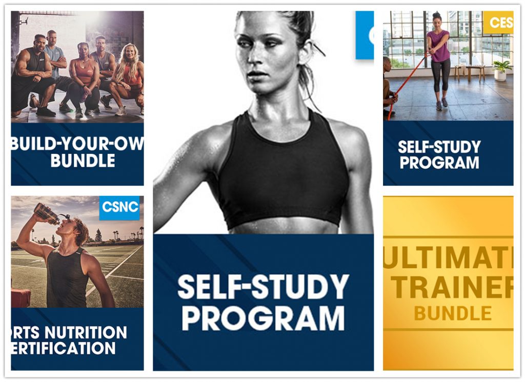 The 5 Best Nasm-certified Courses You Should Try